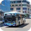 Sydney Buses short Scania Bustech VSTM